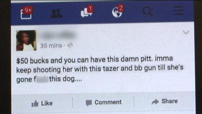 imma shoot my dog facebook post