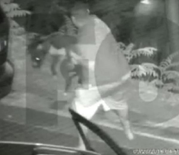 Monster threw dog over L.A. cliff