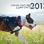 Canines with Cancer Wanted for 2015 Calendar