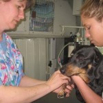 More Dogs’ Lives Will Be Saved Thanks to New Federal Law