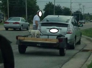 dog_chained_to_trailer_viral_photo-2