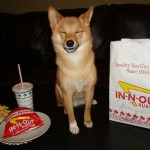 California Restaurants Just Got Dog Friendlier