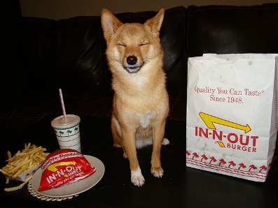 dog friendly california restaurants