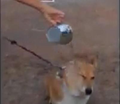 sutter brown ice bucket challenge