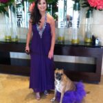 Therapy Dog Susie, Survivor of Horrific Abuse, is 2014 American Hero Dog