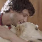 New Budweiser Video a Pawesome Warning Against Drinking and Driving
