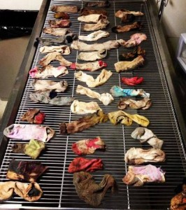 great dane ate 43.5 socks