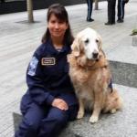 Last Surviving 9/11 Ground Zero Search Dog Returns to the World Trade Center