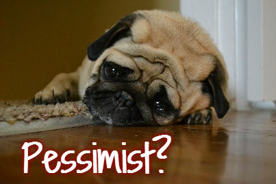 pessimist dog