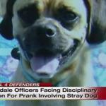 Michigan Cops in Big Trouble Over Stray Dog Prank