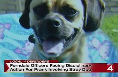 stray dog police prank michigan