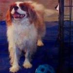 Bentley Update: Ebola Patient’s Dog Enters Testing Phase