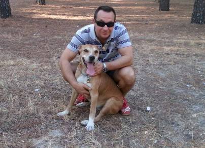 ebola patient's dog to be euthanized in spain