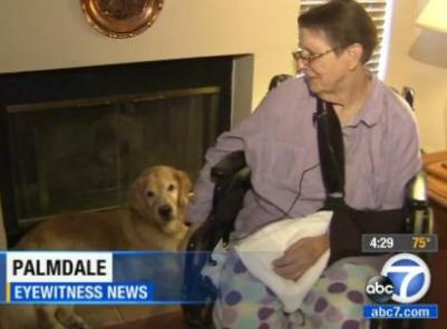 dogs save elderly owner who fell