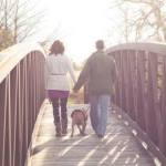 Hector, Vick Dog Turned Therapy Dog, Crosses Rainbow Bridge