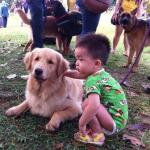 Muslims Touch Dogs for First Time at Malaysian Event