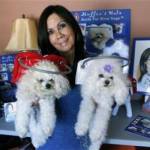 Dog Mom Invents ‘Muffin’s Halo Guide’ to Protect and Help Blind Dogs