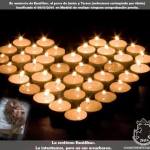 R.I.P. Excalibur: Despite Protests, Madrid Officials Euthanize Ebola Patient’s Dog