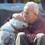 ‘Dangerous’ Pit Bulls Are Still Banned in Aurora (But Assault Rifles and Glocks Are Not)