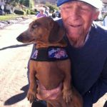 Dachshund Thought to Be Killed in Mudslide Found Alive and Well