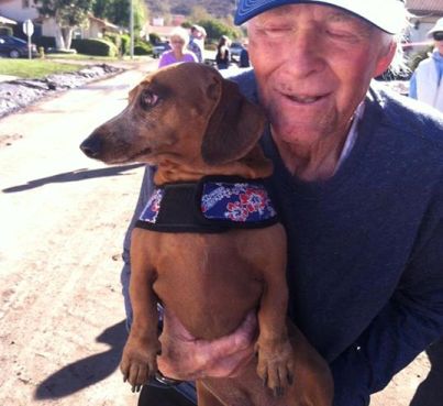 dog in mudslide found alive