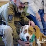 Hero War Dogs to Be Honored for First Time in NYC Veterans Day Parade