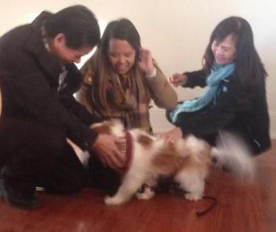 ebola free nurse reunites with dog