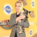 Thanksgiving TV for Dog Lovers