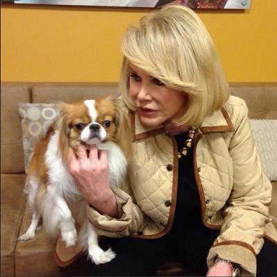 joan rivers dogs