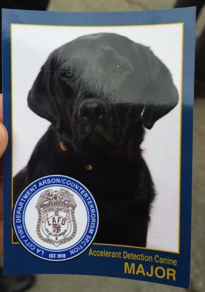 major arson detection dog los angeles fire