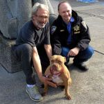 Pit Bull Swims Mile from Sinking Boat, Walks to Church and Is Reunited with Dog Dad