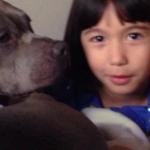 Bad Santa Allegedly Tells Autistic Girl ‘Pit Bulls Eat People’