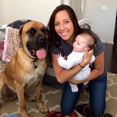 mastiff rescues baby