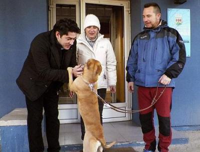 ebola survivor whose dog was killed gets new dog