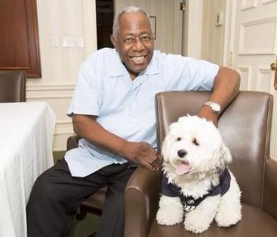 hank the dog and hank aaron
