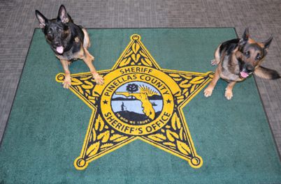 in dog we trust rug
