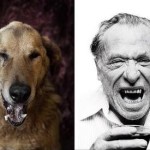 Viral ‘Poetic Dogs’ Photo Series Transforms Shelter Pups into Authors