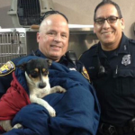Fort Worth Police Officers Stop Highway Traffic to Rescue Small Dog (VIDEO)