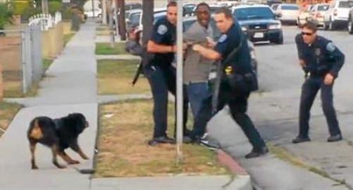 hawthorne police officers shoot dog
