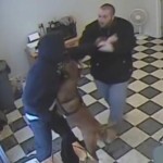 Watch Hero Pit Bull Mix Stop Gas Station Robbery
