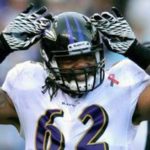 Terrence Cody, Under Investigation for Dog Abuse, Cut from Baltimore Ravens