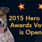 Vote Now for AHA 2015 Hero Dog Awards