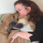 New Study Will See if Kissing Your Dog Is Good for Your Gut Health