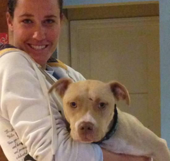 brittany fraser sheriff's deputy animal rescue