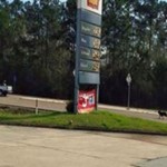 Owner of Dog Dumped at Gas Station Releases Her for $400