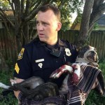 Tampa Police Officers Stop Train and Rescue Dog Tied to Tracks