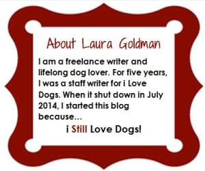 About i Still Love Dogs