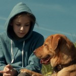‘White God’ Stars 250 Former Shelter Dogs