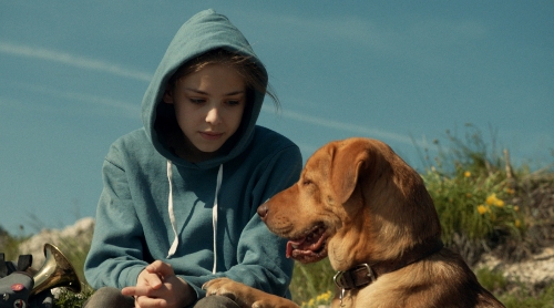 White God movie girl and dog