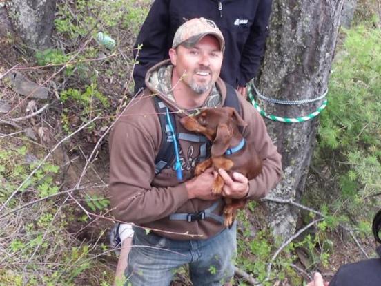 dachshund survives 6 days after atv crash